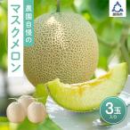ふるさと納税 御坊市 農園自慢の『マスクメロン』×3玉