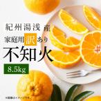 紀州湯浅産不知火 しらぬひ 約8.5kg