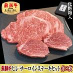 飛騨牛ヒレ 120g