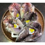 元漁師が作る高級魚セット T018-22