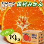 ふるさと納税 湯浅町 高級みかん秀品「田村みかん」10kg(S〜Lサイズ)【1月発送分】