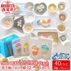 おさかな離乳食セット ととBaby 離乳完了期セット