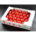 fu.... налог Shizuoka город Shizuoka город Shimizu район производство красный ole 1kg(30 шар ввод )