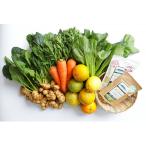 湘南からのおまかせ健康セット 旬の農薬不使用野菜7品+菊芋…