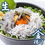 湘南江の島 しらす問屋とびっちょ 生しらす釜揚げしらすセ…