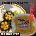 ふるさと納税 八雲町 鮮度抜群!「門脇のウニ」 北海道産塩水生ウニ1パック(100g入り)