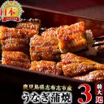 ふるさと納税 志布志市 うなぎの大楠<特大>3尾セット計510g(170g×3)