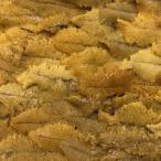 ふるさと納税 八幡浜市 八幡浜発!竹中水産の「宇和海産上質お手軽生ウニ」3枚セット!【G22-219】