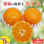 柑橘の救世主 ご あすみ 約5kg