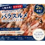竹中水産のバラスルメ2kg 小小サイズ