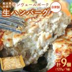 産モンヴェールポーク 自家製生ハンバーグ9個 120g×3個入り…