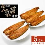 うなぎ蒲焼5尾