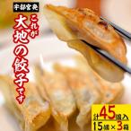 宇都宮発 これが大地の餃子です 計45個入り