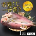 若狭ぐじ 一汐開き