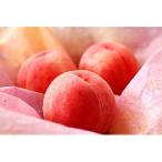 ふるさと納税 紀の川市 紀州名産「あら川の桃」特秀品3kg(7〜9個入)