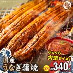大型サイズ ふっくら柔らか うなぎ蒲焼き2尾