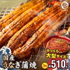 大型サイズ ふっくら柔らか うなぎ 蒲焼き 3尾