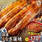 大型サイズ ふっくら柔らか うなぎ蒲焼き1尾 約2人前