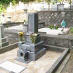 墓 内 お墓の見守り 墓地清掃サービス