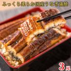 大型サイズ ふっくら柔らか うなぎ蒲焼き 3尾