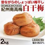 ふるさと納税 御坊市 昔ながらのしょっぱい梅干し 白干梅 2kg 中粒2L 無添加 すっぱい梅干し 紀州南高梅 和歌山県産