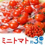 ミニトマト バラ 約3kg