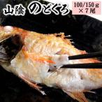 山陰のノドグロ 7尾入