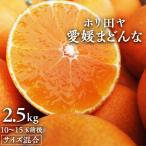 ホリ田ヤ 大三島まどんな 2.5キロ