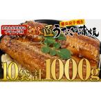 ふるさと納税 鹿屋市 鹿児島県鹿屋市のブランドうなぎ 備長炭手焼 鯉家匠うなぎのカット蒲焼 1kg(10人前) 1646