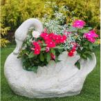 季節のお花寄せ植え 白鳥型鉢