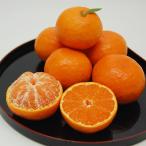 有田みかん 未来への虹 約9kg