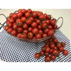 fu.... налог ... город мини помидоры примерно 200g×12 упаковка 