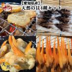 天然の貝4種セット