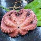 茹でたこ 約500g
