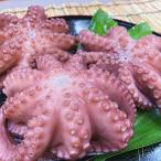 茹でたこ 約1kg