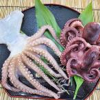 茹でたこ+真蛸の干物セット