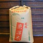 認証特別栽培米魚沼産しおざわコシヒカリ玄米30kg