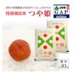 SB1042 特別栽培米 つや姫 10kg