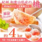 ふるさと納税 紀美野町 【紀美野町】紀州和歌山産の桃　約4kg　化粧箱入