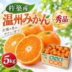 野菜ソムリエ石児さんの特選 温州みかん 5kg