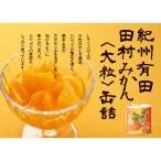 小南農園 田村みかん缶詰8個