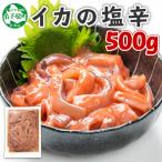 ふるさと納税 弟子屈町 いかの塩辛 500g 烏賊 海鮮 おつまみ 北海道 弟子屈町 3163