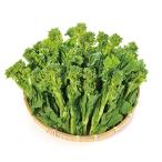 旬の野菜 菜の花バラ 約1kg