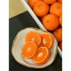 唐津産 山下紅みかん ハウス栽培 5kg