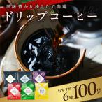 ふるさと納税 泉佐野市 厳選ドリップコーヒー 6種 100袋 工場直送 本格 詰合せ セット 015B279