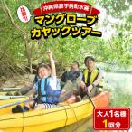 マングローブカヤックツアー