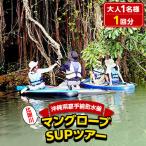 マングローブSUPツアー