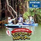 マングローブSUPツアー