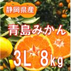 青島みかん 3L