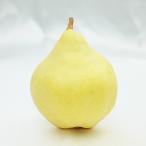 新潟特産 幻の洋梨ル レクチェ 厳選品 約1kg